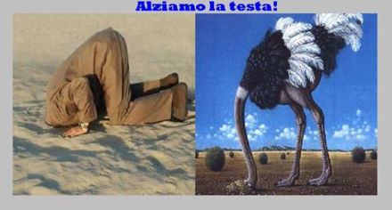 10409537_10206388029888553_9061214300991906758_n