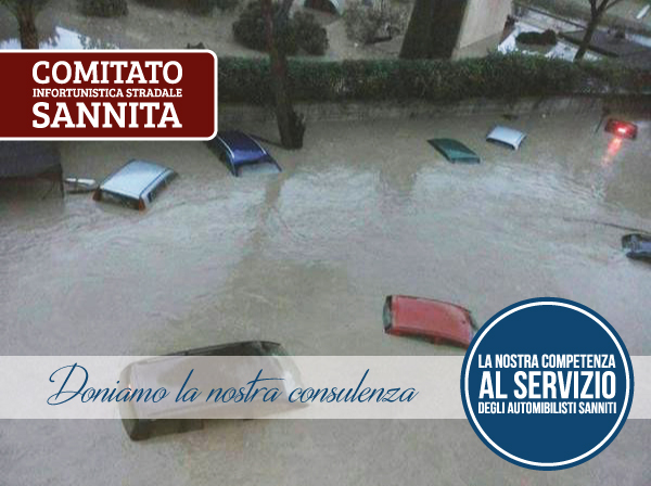perizia_alluvione
